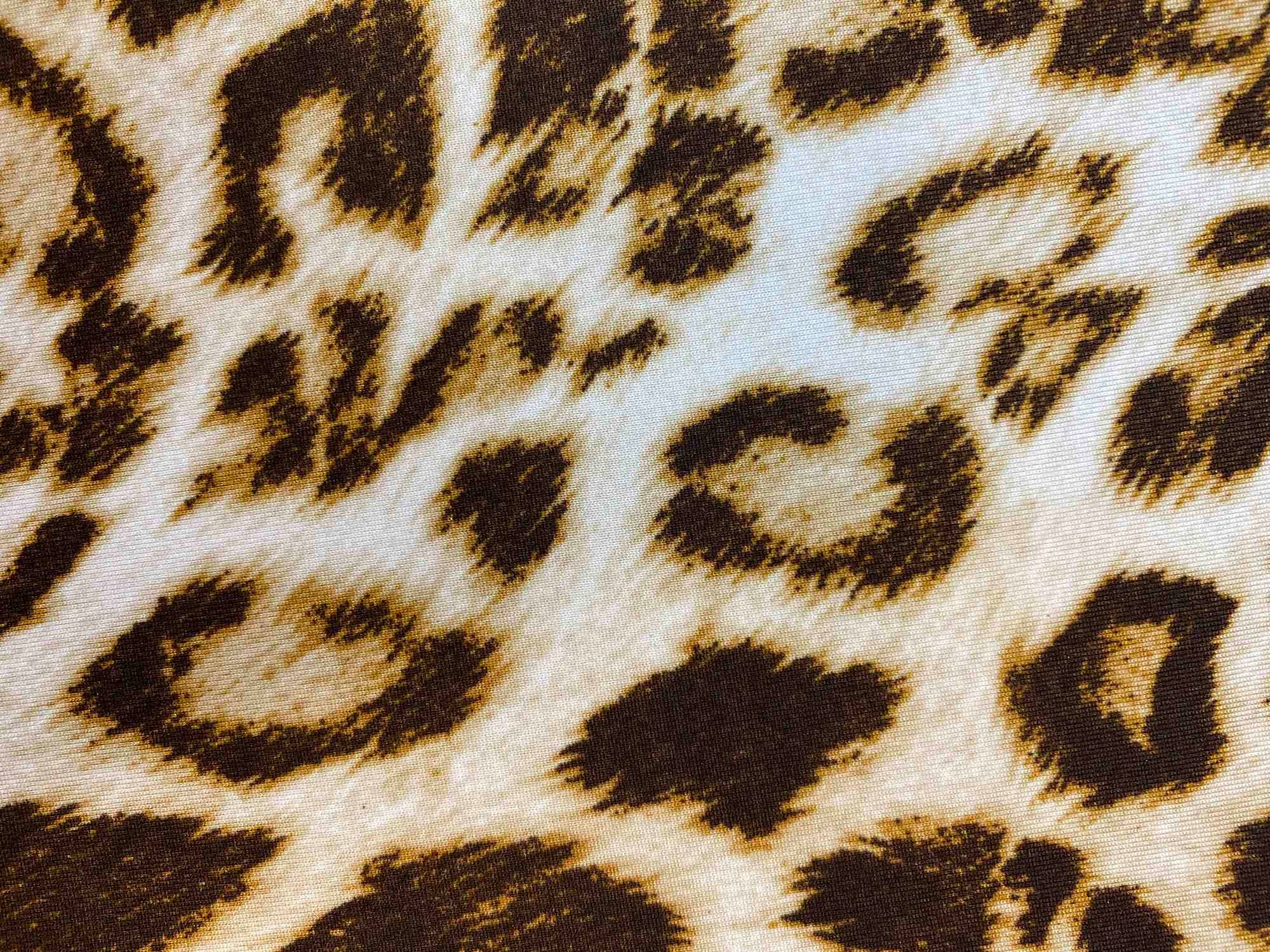 DTY Brushed Animal Print Stretch Knit Fabric - KNT2100-SE20352 - Image 4