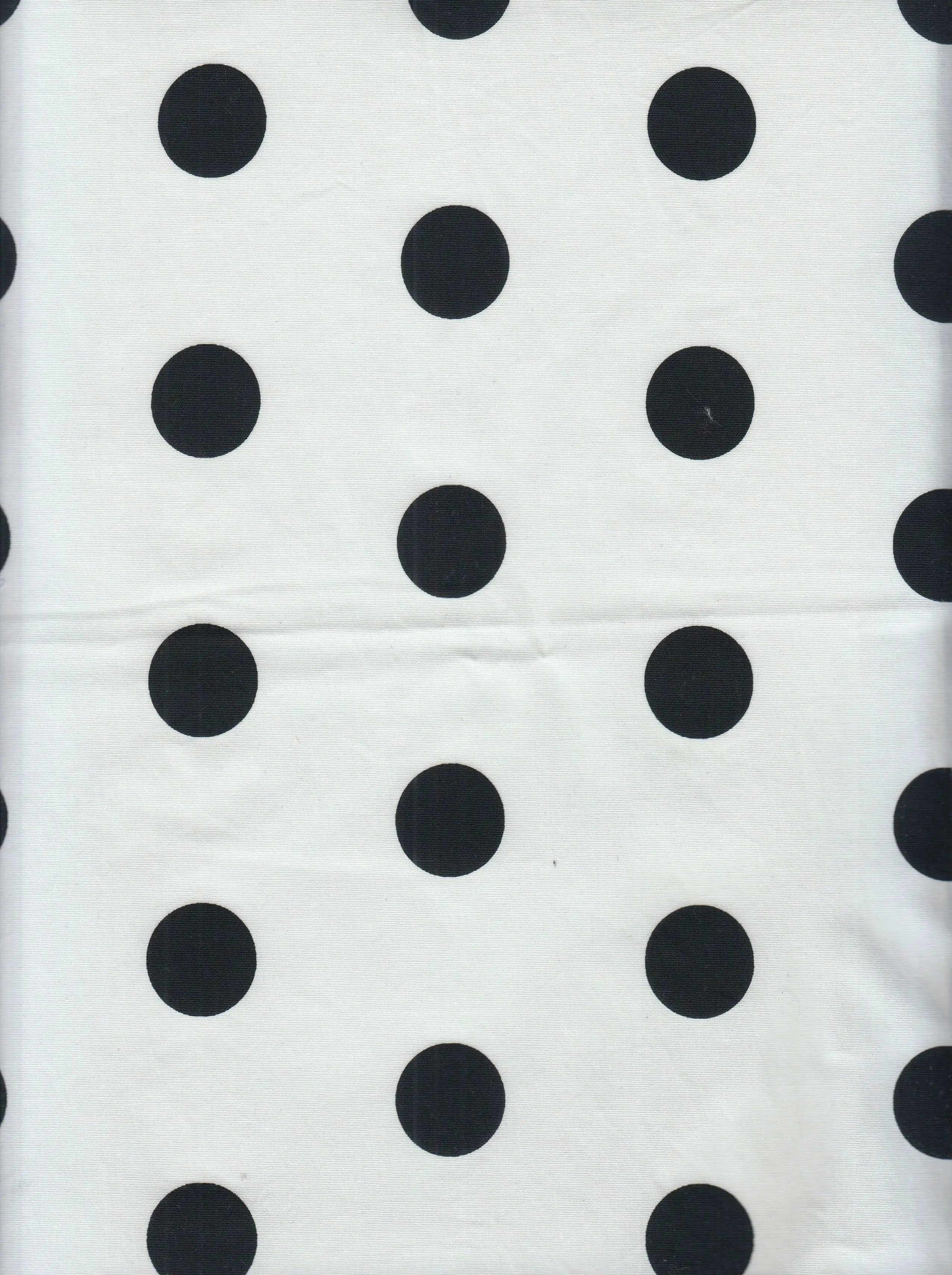 Big Dot Stretch Poplin Fabric - POP810-MS11477 - Image 2